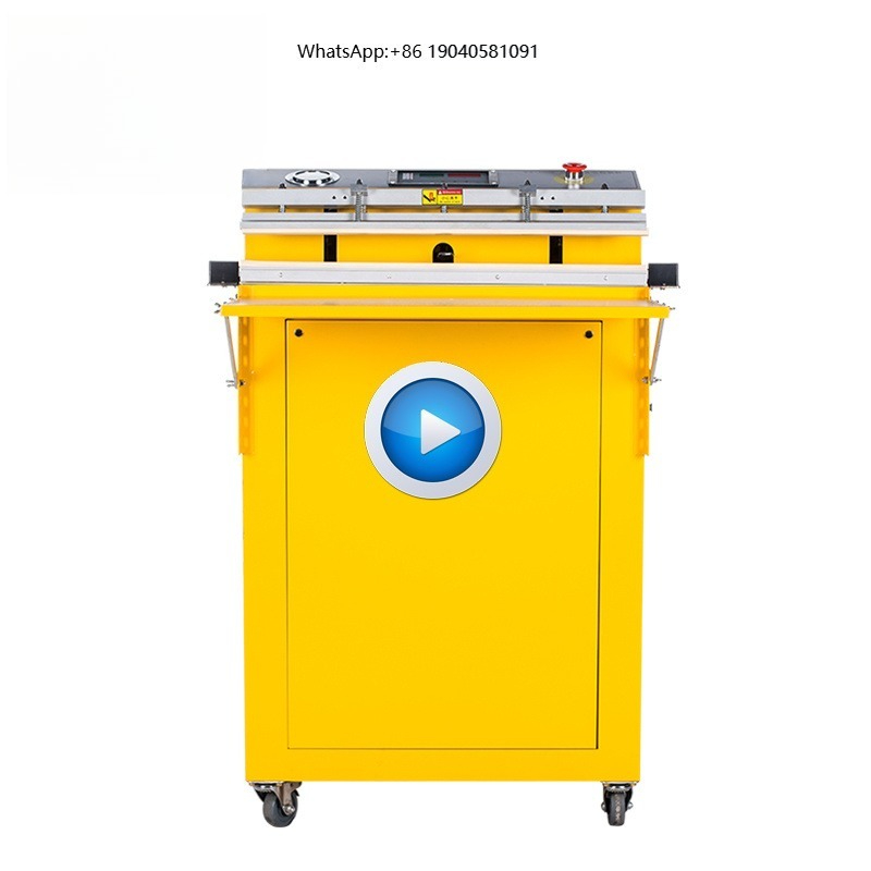 Food Vacuum Sealer Machine - Bespacker VS-600E Stand Type Food Fish
