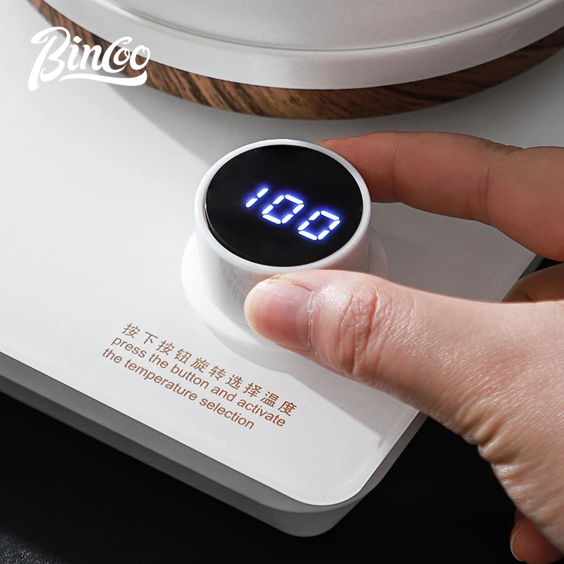 Bincoo Hand Brewed Coffee Pot  - Electric Kettle Temperature Control review and price